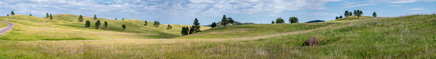 Empty grassland with rolling hills and trees