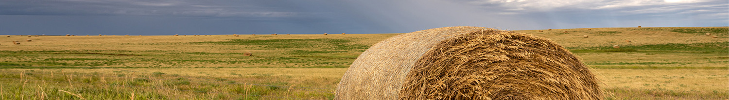 Hay Bale Sitting in sumer Field with dramatic clouds in South Dakota countryside