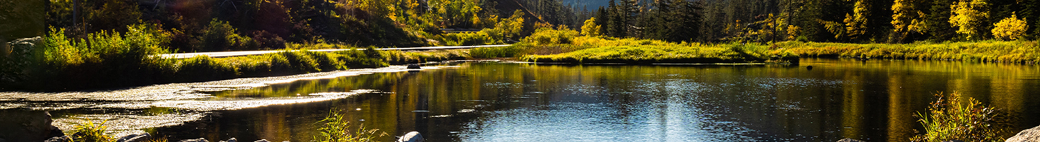 Spearfish Canyon 4th Circuit